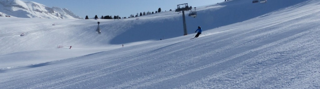 Slope below the Sochers-Ciampinoi chair lift