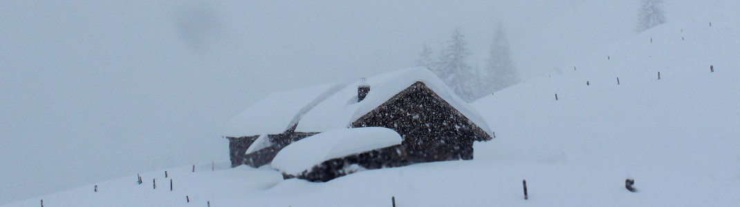 Dichtes Schneetreiben in den Bergregionen im Salzburger Land, wie hier bei Werfenweng an der Hackelhütte.