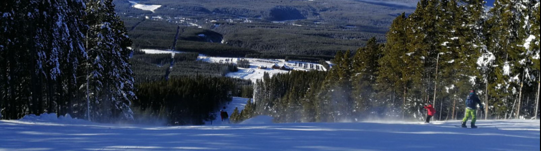 The slopes at Lake Louise boast breathtaking views.