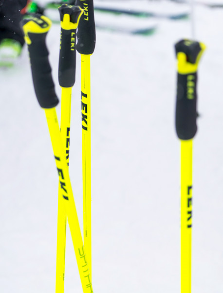There are all kinds of ski poles in different price ranges available.