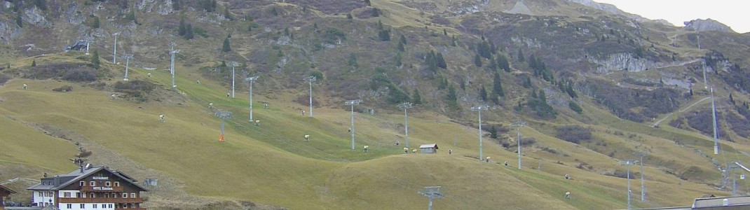 Grüne Wiese statt weißer Piste: Am Weltcuphang in Zürs fehlt der Schnee noch komplett.