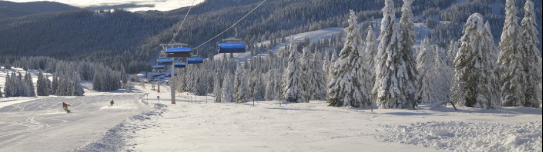 Anfänger sollten am besten Skigebiete mit flachen Pisten für den ersten Skiurlaub wählen. Die gibts u.a. am Feldberg im Schwarzwald.