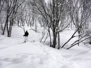Take freeride skis with you