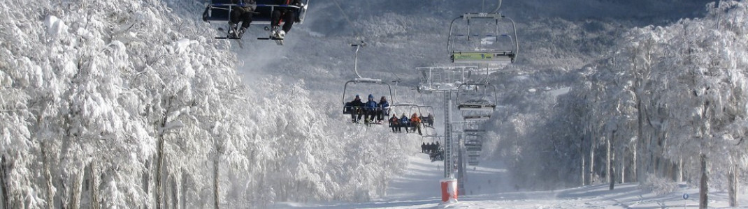 Chapelco - 45 km of slopes for beginners and advanced skiers in the Argentine Andes.