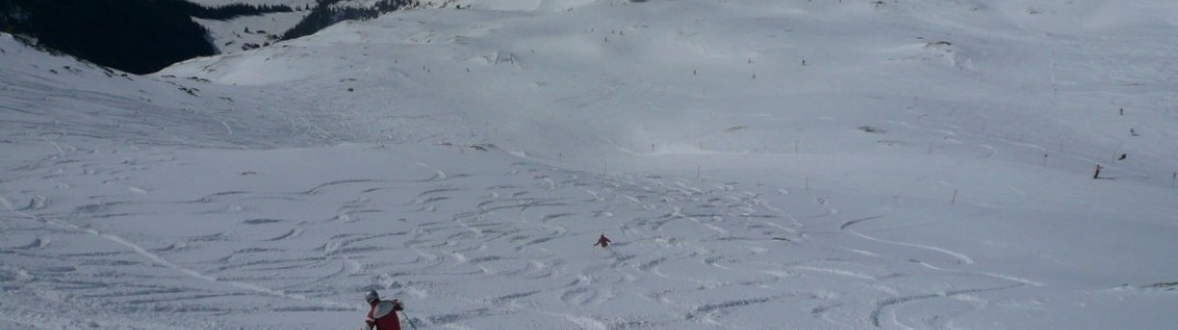 Blick auf die Off-Piste (Abfahrt 1a).