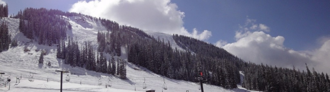 Die sehr einfachen Abfahrten am Molly Hogan Lift sind auch für ungeübte Skifahrer geeignet.