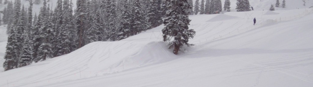Die Kicker im Treeline Terrainpark oberhalb der Black Mountain Lodge!