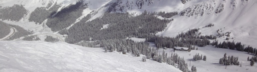 Blick von der Bergstation des Pallavicini Lifts über die Black Mountain Lodge hinunter ins Tal!