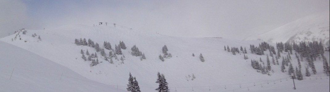Blick von der Abfahrt Powerline auf das Gebiet am Pallavicini Lift!