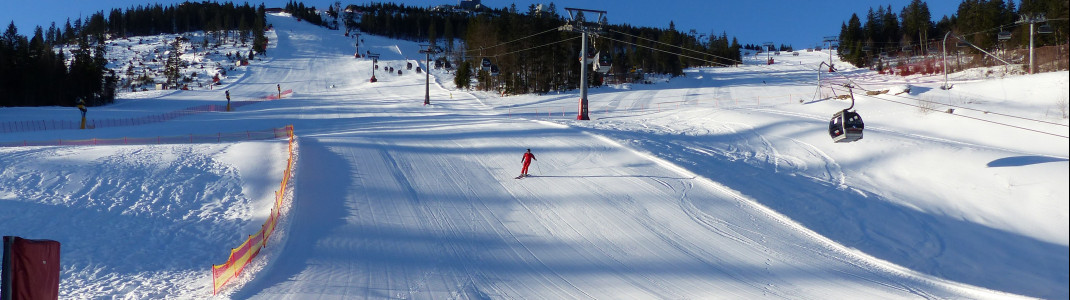 Die FIS-Weltcupabfahrt ist das Prunkstück des Skigebiets am Großen Arber.