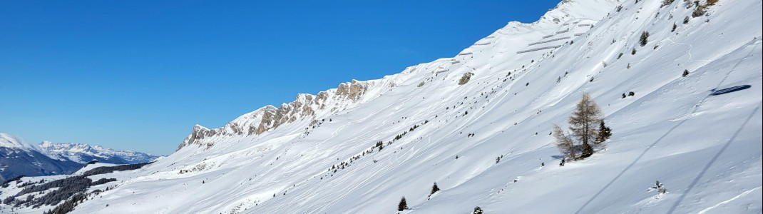 Freeride-Touren mit Berg- und Tourenführern werden von der Skischule Arosa angeboten