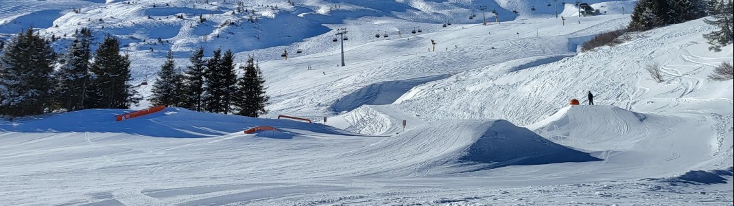 Mit Features in allen Schwierigkeitsgraden bieten die Snowparks für jede Könnerstufe das Richtige