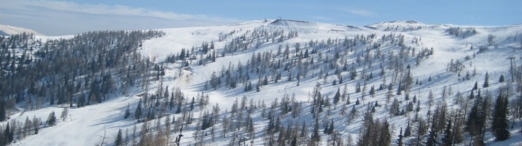 Blick auf das Gebiet um Muldenlift und Hirschsprunglift