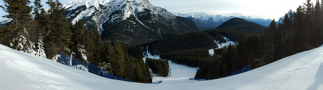 Auch am Mt. Norquay genießt man ein tolles Panorama