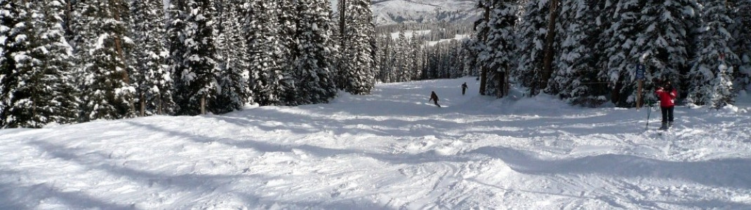Gerade bei Neuschnee finden Profis genügend Herausforderung in Beaver Creek!