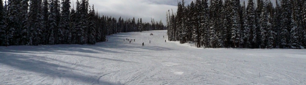 Die Pisten in Beaver Creek sind relativ breit! - Die Snowboarder freut dies!