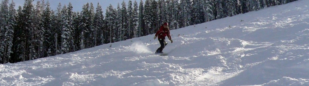 Buckelpisten und präparierte Hänge wechseln sich ab in Beaver Creek!