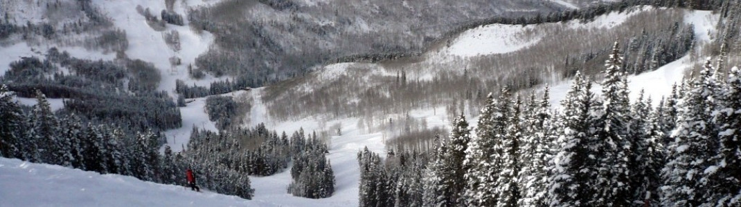 Präparierte Pisten und Off-Piste: Beaver Creek bietet von beidem genügend!