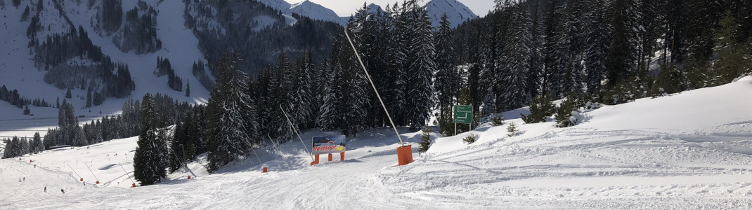 Von Thaneller-Sonnenhang führt ein Ziehweg zum Rastkopf.