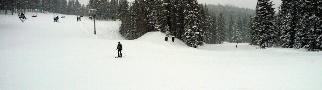 "C-Chair" und "Sawmill"-Piste!