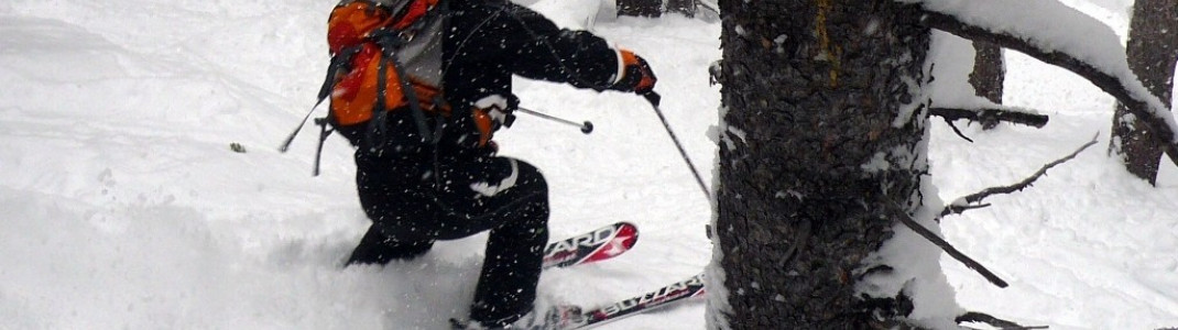 Tree-Runs sind nahezu überall in Breckenridge möglich!