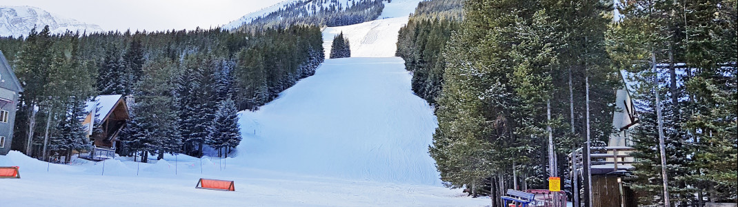 In Castle Mountain gibt es überwiegend steile und schwierige Abfahrten.