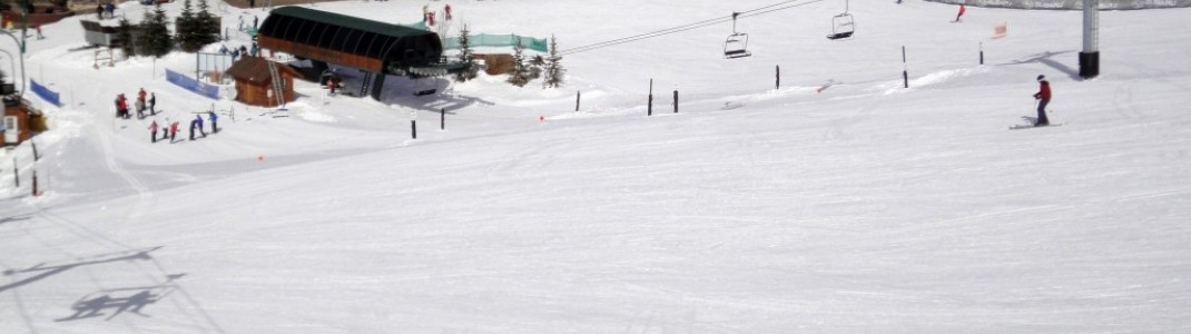 Die Pisten im unteren Bereich des Skigebiets sind fast ausnahmslos auch für weniger geübte Skifahrer geeignet.
