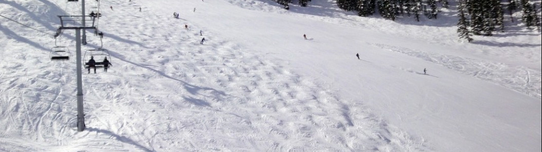 Bestens präpariert oder doch lieber Buckelpiste? Am Paradise Express Lift hat man die Qual der Wahl.