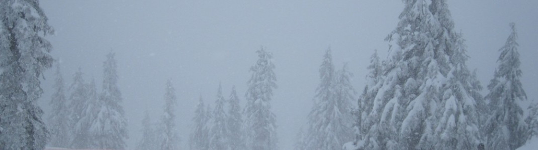 Snowboarder auf dem Anfangsstu&#776;ck der gru&#776;n markierten COLLINS Abfahrt!