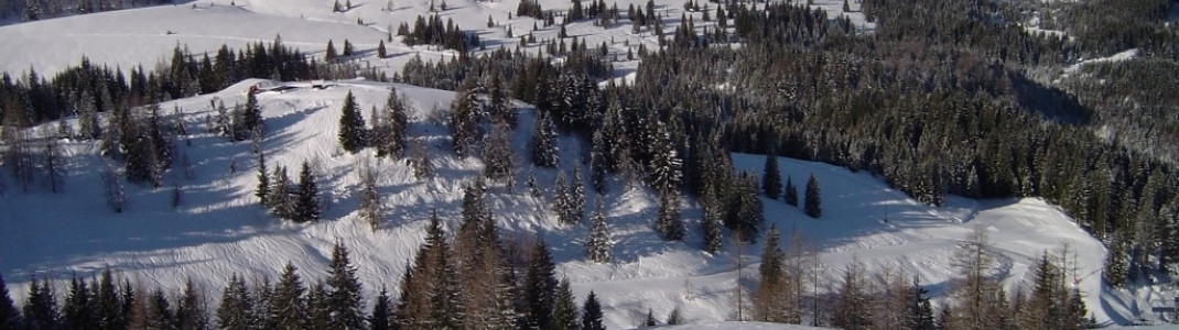 Panoramablick vom Haideggriedlift!
