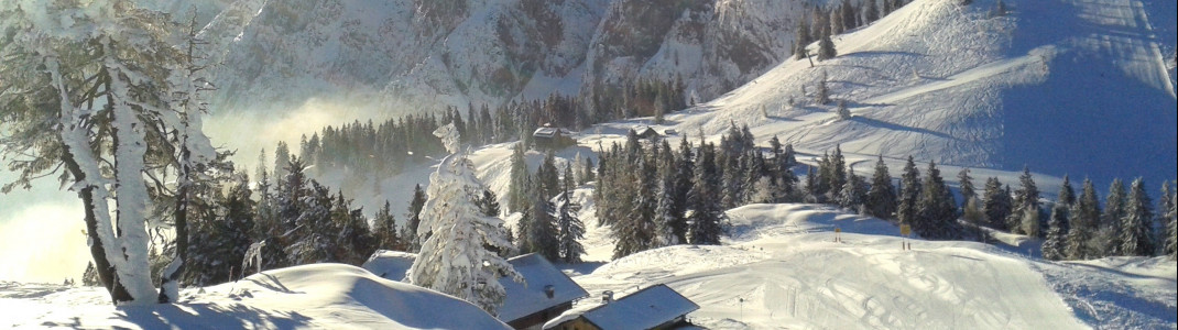 Panorama zur Zwieselalm