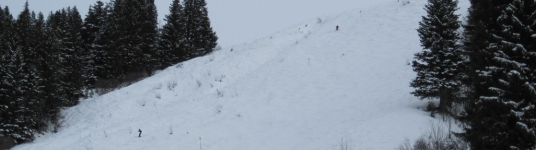 Blick auf die Buckelpiste (Skiroute 3)!