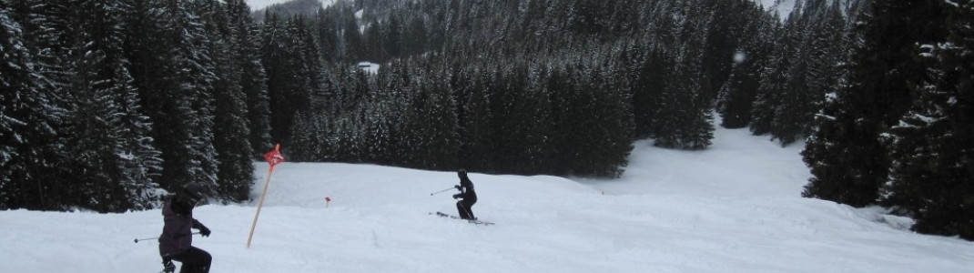 Waldabfahrt ins Tal (Skiroute 21)!
