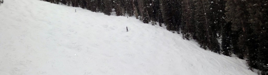 Blick vom Grizzly Lift auf die schwarze Wapiti Abfahrt!