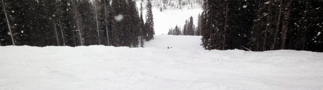 Nur für sehr gute Snowboarder: Bull Run am Grizzly Lift!
