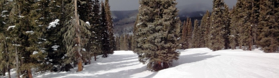 Durango Mountain Resort bietet viele einfache Waldabfahrten und ist somit eines der familienfreundlichsten Gebiete Colorados.