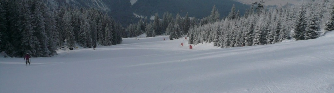 Jägerhütte-Abfahrt (4)