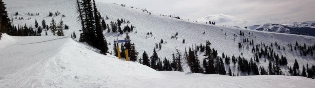 Blick auf die schwarzen Powderhänge "The Good", "The Bad", "The Ugly" und "The East Woods".