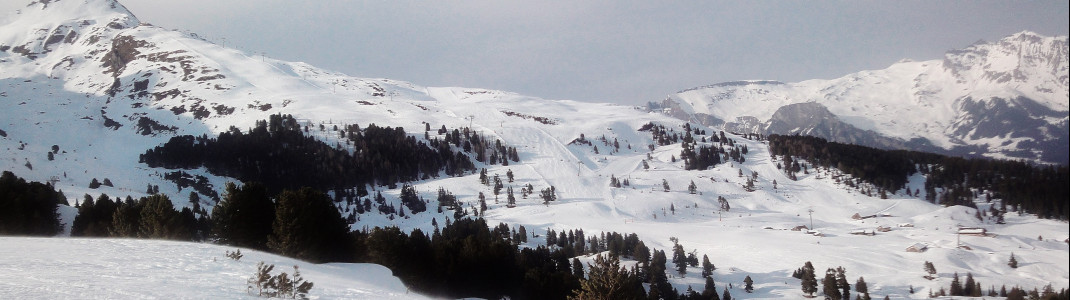 Blick auf die roten Pisten am Honegg Lift