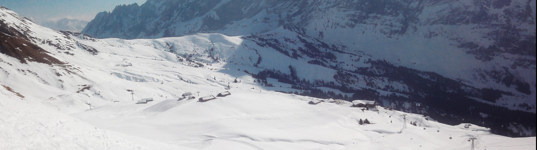Blick über das Teilgebiet Grindelwald First
