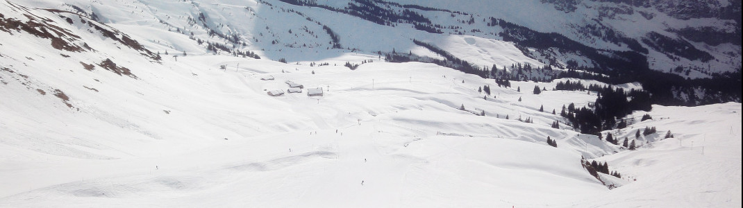 Blick auf Grindelwald First