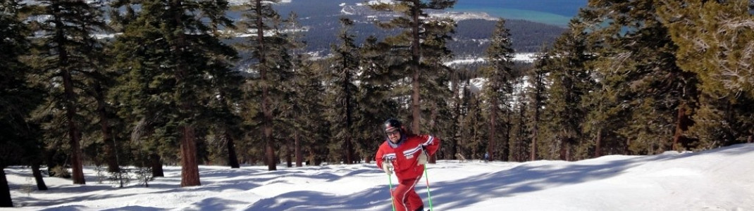 Abfahrt in den Powderbowl Woods!