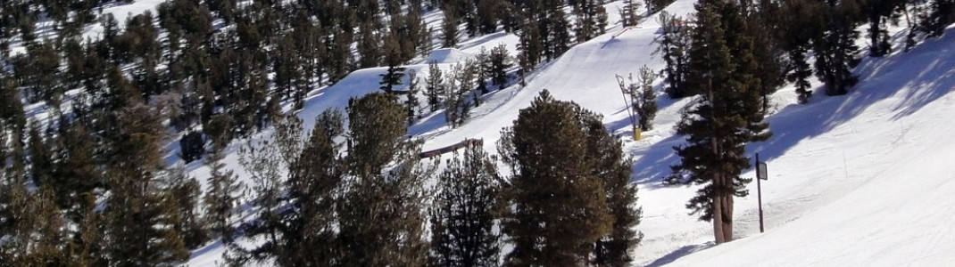 Blick auf den oberen Teil des anspruchsvollsten Funparks im Skigebiet: High Roller Park!