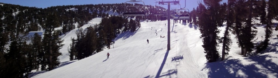 Blick auf die Carving-Pisten rund um die Lifte Powderbowl Express und Canyon Express!