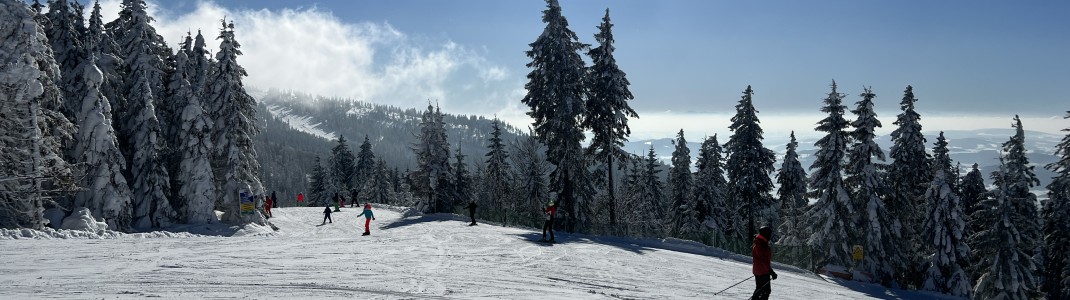 Von der Reischlberg-Bergstation kommst du links auf die blaue Hochwaldabfahrt.