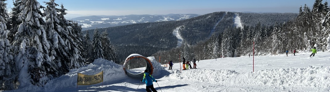 Wellenbahn und Funslope an der Hochwaldabfahrt am Reischlberg