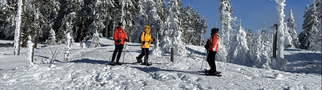 Der Hochficht ist auch bei Schneeschuhwanderern beliebt.