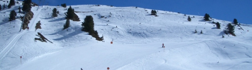 Kalbenalmpiste Nr. 8!