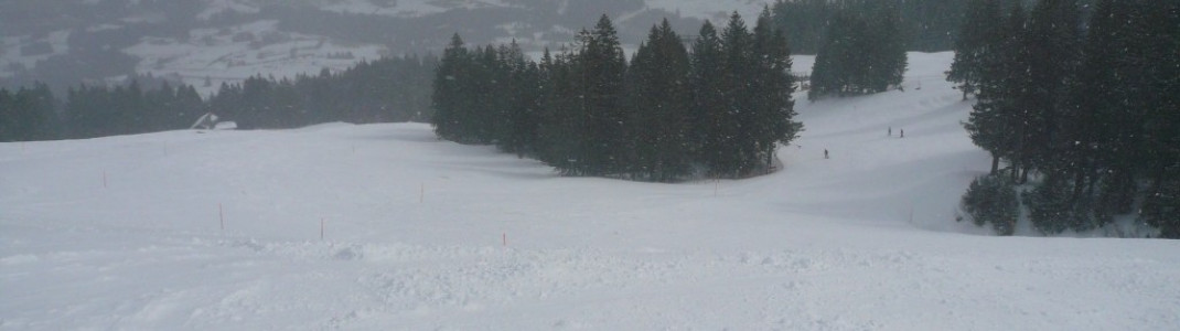 Weiherkopf FIS-Herrenabfahrt!