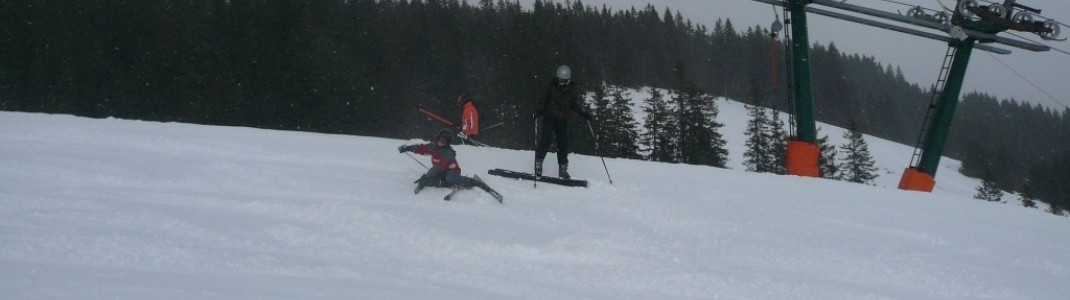 Mittelstück der Knobel FIS-Slalom-Strecke!